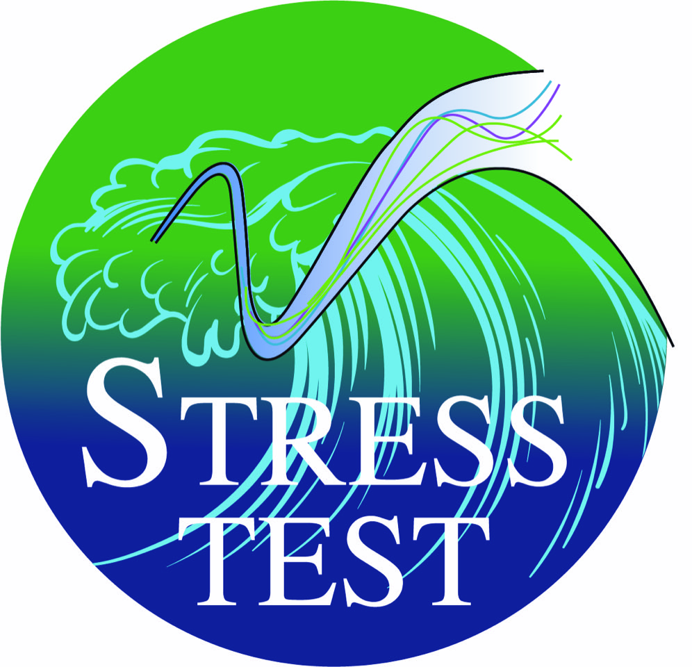  Chair “Stress Test: Risk Management and Financial Steering